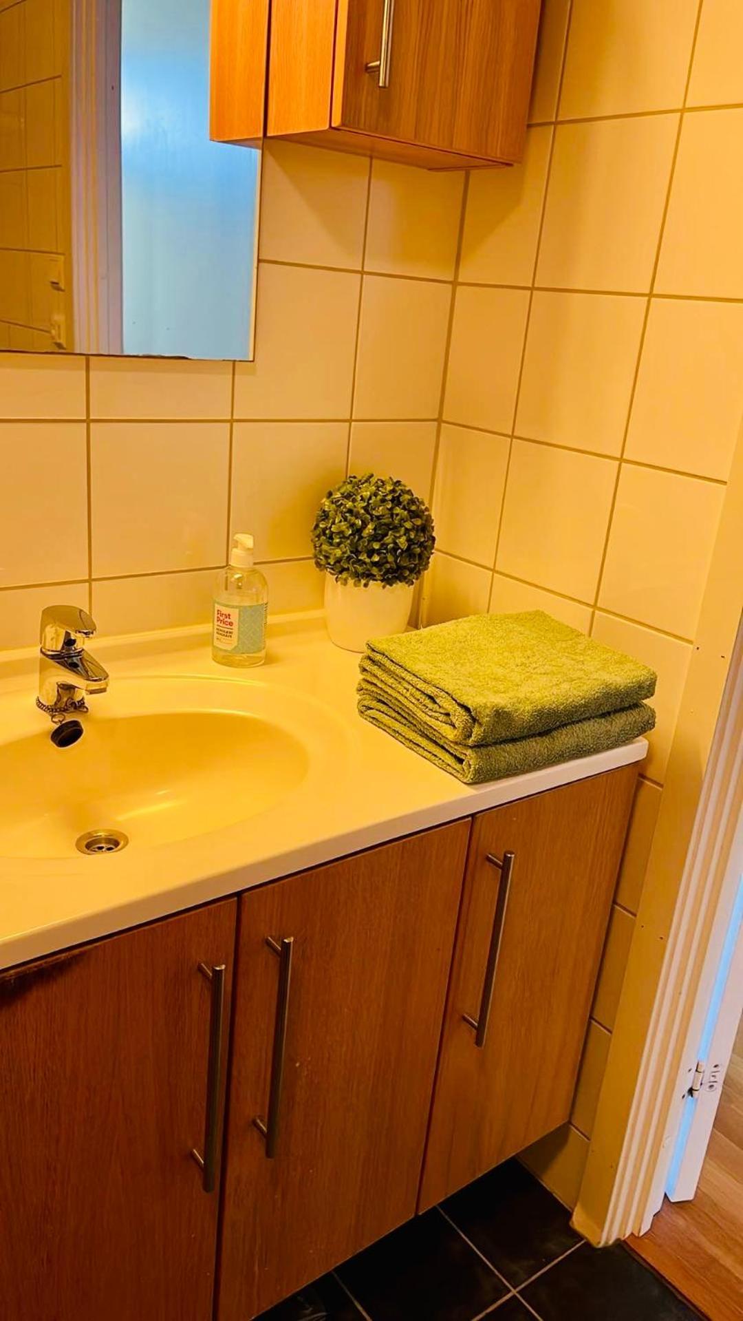 Spacious Modern Apartment トロンハイム エクステリア 写真